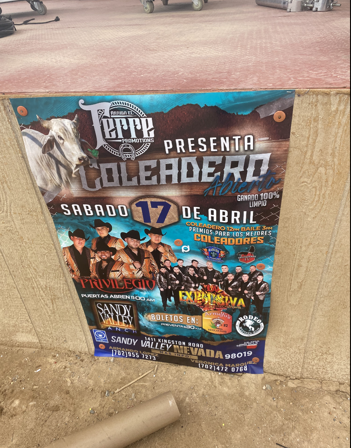Large Format Poster Printing - Image 6