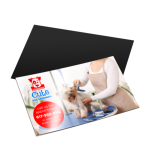 Graphicsdesignmedia Postcard Flyer Printing Pet Grooming Business Stack