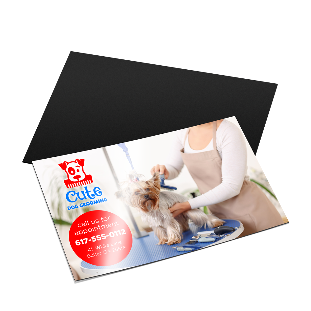 Graphicsdesignmedia Postcard Flyer Printing Pet Grooming Business Stack